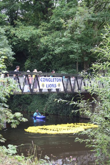 Congleton Lions Duck Race Congleton Lions Duck Race