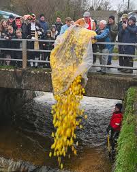 Congleton Lions Duck Race