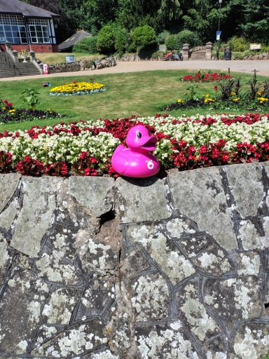 Congleton Lions Duck Race 2026