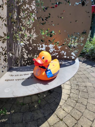Congleton Lions Duck Race 2026