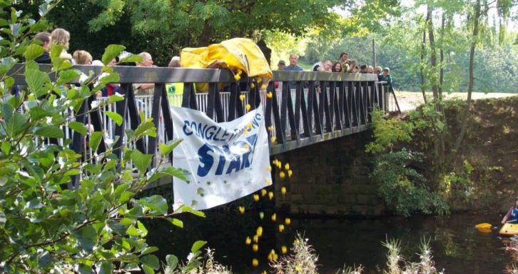 Congleton Lions Duck Race