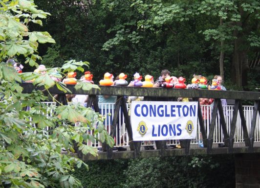 Congleton Lions Duck Race Congleton Lions Duck Race
