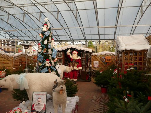 Santa's Grotto Astbury Garden centre