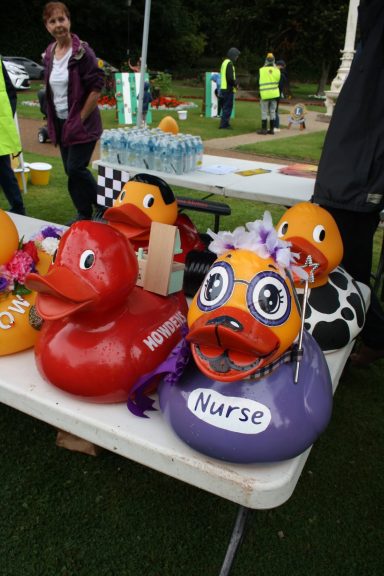 Congleton Lions Duck Race Congleton Lions Duck Race