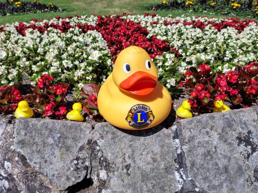 Congleton Lions Duck Race 2026