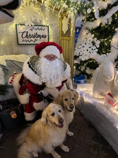 Santa and 2 unexpected 4 legged visitors 