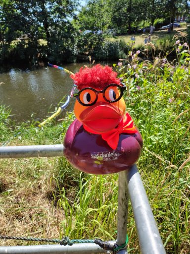 Congleton Lions Duck Race 2026 - corporate winner - SAS Daniels Solicitors