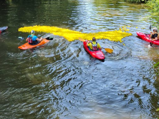 Congleton Lions Duck Race 2026