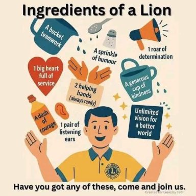 Ingredients of a Lion
