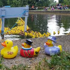 Congleton Lions Duck Race Congleton Lions Duck Race