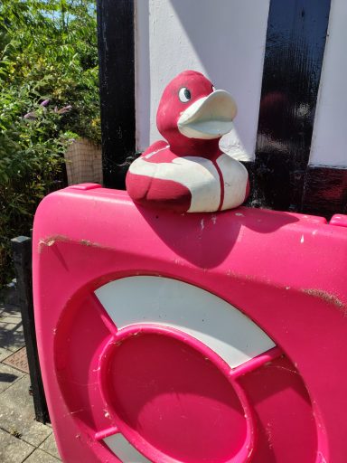 Congleton Lions Duck Race 2026